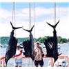 Image 2 : 6 - day Mexico Fishing Trip for 1 angler