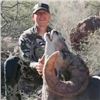 Image 2 : 10 - Day Premium Free-Range Desert Bighorn Sheep Hunt for One Hunter