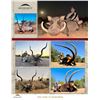 Image 1 : 10 - Day Luxury African Safari for 2 Hunters (2x1)
