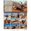 Image 2 : 10 - Day Luxury African Safari for 2 Hunters (2x1)