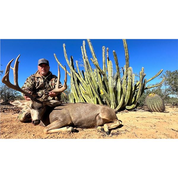 6 - Day Sonoran Desert Mule Deer Hunt for 2 Hunters