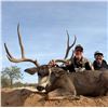 Image 2 : 6 - Day Sonoran Desert Mule Deer Hunt for 2 Hunters