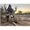 Image 3 : 6 - Day Sonoran Desert Mule Deer Hunt for 2 Hunters