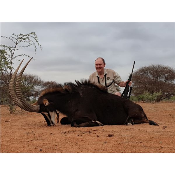 3 - day Mozambique Roosevelt Sable Hunt for 1 hunter