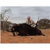 Image 1 : 3 - day Mozambique Roosevelt Sable Hunt for 1 hunter