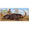 Image 2 : 3 - day Mozambique Roosevelt Sable Hunt for 1 hunter