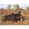 Image 3 : 3 - day Mozambique Roosevelt Sable Hunt for 1 hunter