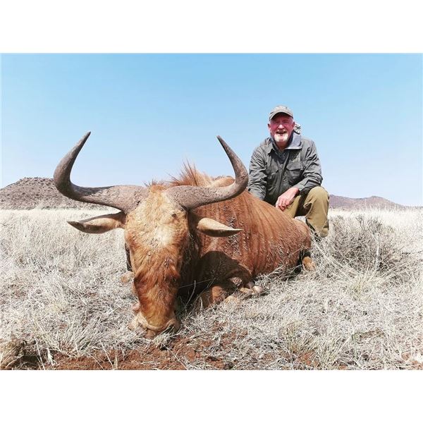 6 - Day African Safari Wildebeest (3) for 2 Hunters