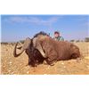 Image 3 : 6 - Day African Safari Wildebeest (3) for 2 Hunters