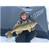 Image 3 : 3 - day Ice Fishing Trip for 2 anglers in North Dakota