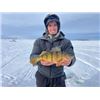 Image 5 : 3 - day Ice Fishing Trip for 2 anglers in North Dakota
