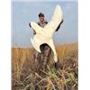 Image 1 : 4 - Day Waterfowl North Dakota Hunt for 2 hunters