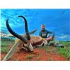 Image 1 : 6 - day African Safari with Liam Urry for 4 hunters
