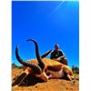 Image 3 : 6 - day African Safari with Liam Urry for 4 hunters