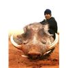 Image 4 : 6 - day African Safari with Liam Urry for 4 hunters