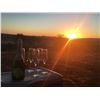 Image 3 : 6 - Day Namibia Safaris for 3 hunters