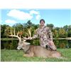 Image 2 : 3 - Day White Tail Hunt for 2 Hunters