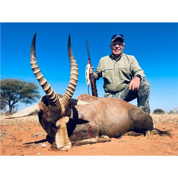 10 - Day Luxury African Safari for 2 Hunters & 2 Observers