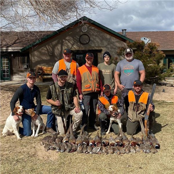 2-Day Utah Pheasant Hunt for 4 Hunters