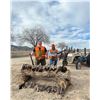 Image 3 : 2-Day Utah Pheasant Hunt for 4 Hunters