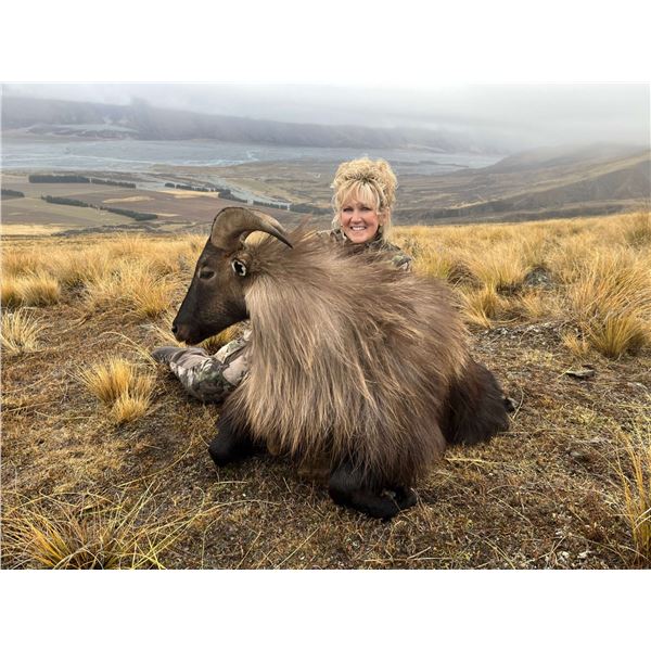 4-Day New Zealand Bull Tahr for 1 Hunter & 1 Observer
