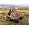 Image 1 : 4-Day New Zealand Bull Tahr for 1 Hunter & 1 Observer