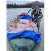 Image 1 : Alaskan Moose, Bear, Caribou, and Wolf Float Trip for 2 Hunters