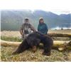 Image 3 : Alaskan Moose, Bear, Caribou, and Wolf Float Trip for 2 Hunters