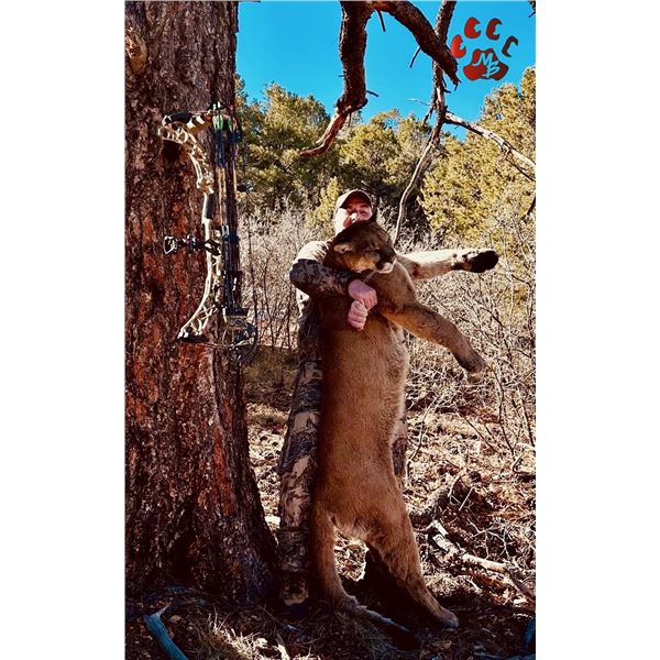 5 - Day Cougar Hunt in UT or AZ with Mossback Outfitters for 1 Hunter