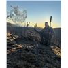 Image 2 : 5 - Day Oregon Mule Deer Hunt for 2 Hunters