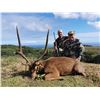 Image 3 : 3-Day Rusa Deer Hunt in Mauritius for 1 Hunter 