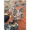 Image 4 : 6-Day Trophy Cape Kudu Hunt for 2 Hunters