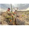 Image 1 : 6-day Arizona Cous Deer Hunt