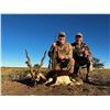 Image 4 : 5-Day Argentina Blackbuck, Ram & Boar Hunt for 4 Hunters