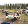Image 5 : Guided Fly Fishing Trip in the Utah Uintas for 4 Angler