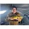Image 4 : 3-Day North Dakota Ice Fishing Trip for 2 Anglers