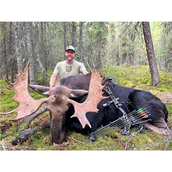 7-Day Archery Moose Hunt in Alberta Canada for 1 Hunter