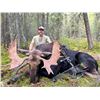 Image 1 : 7-Day Archery Moose Hunt in Alberta Canada for 1 Hunter