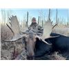 Image 2 : 7-Day Archery Moose Hunt in Alberta Canada for 1 Hunter