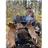 Image 3 : 7-Day Archery Moose Hunt in Alberta Canada for 1 Hunter
