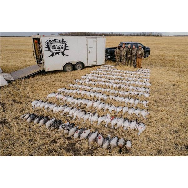 3-Day Alberta Waterfowl Hunt for 1 Hunter