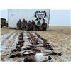 Image 2 : 3-Day Alberta Waterfowl Hunt for 1 Hunter