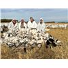 Image 3 : 3-Day Alberta Waterfowl Hunt for 1 Hunter