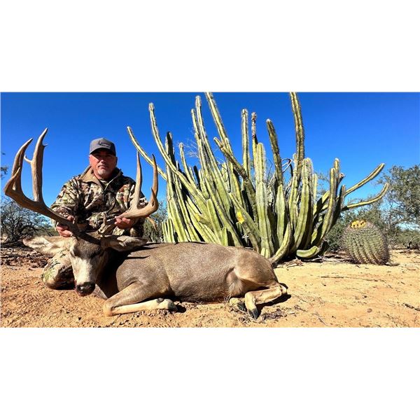 6 - Day Sonoran Desert Mule Deer Hunt for 1 Hunter