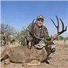 Image 2 : 6 - Day Sonoran Desert Mule Deer Hunt for 1 Hunter