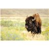 Image 4 : 5-Day South Dakota Couples Adventure