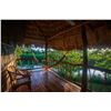 Image 1 : 6-Day Belize Jungle Adventure