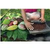 Image 4 : 6-Day Belize Jungle Adventure
