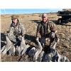 Image 1 : 3-Day Sandhill Crane Hunt in Texas for 2 Hunters