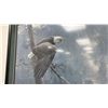 Image 2 : ROBERT BATEMAN L.E.P "THE AIR, THE FOREST AND THE WATCH" - 42 3/4" X 32 1/4" FRAMED